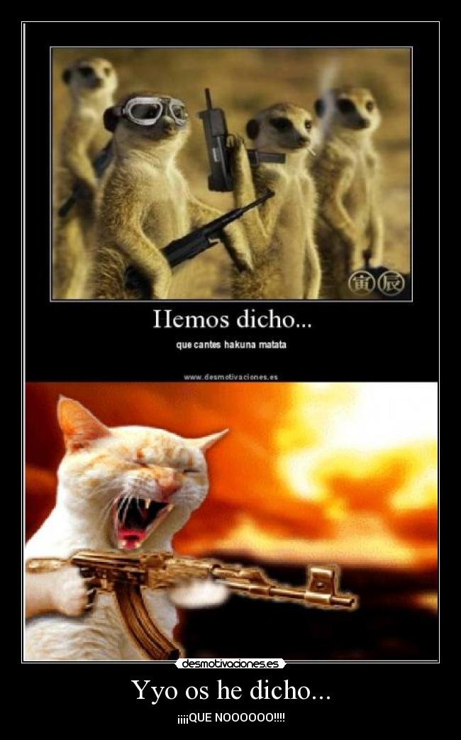 Yyo os he dicho... - ¡¡¡¡QUE NOOOOOO!!!!