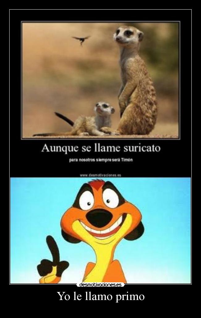 Yo le llamo primo -