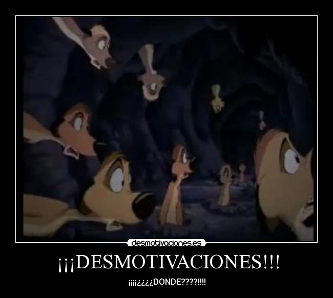 ¡¡¡DESMOTIVACIONES!!! -