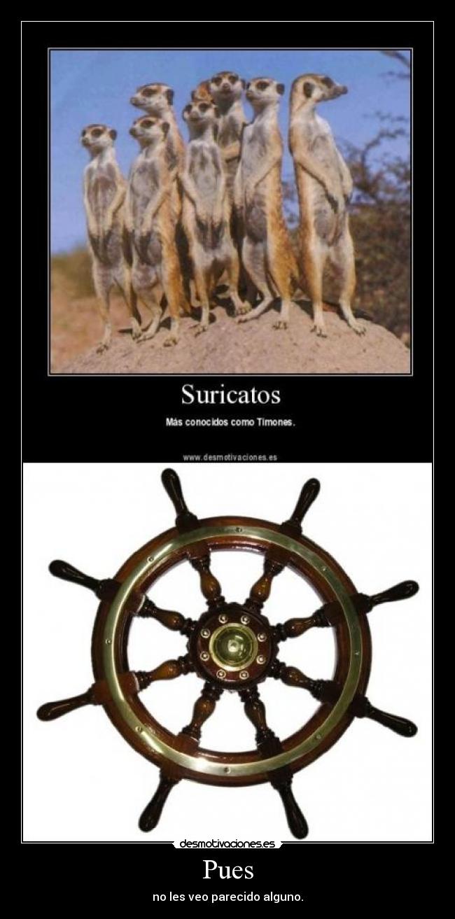 carteles timon suricato desmotivaciones