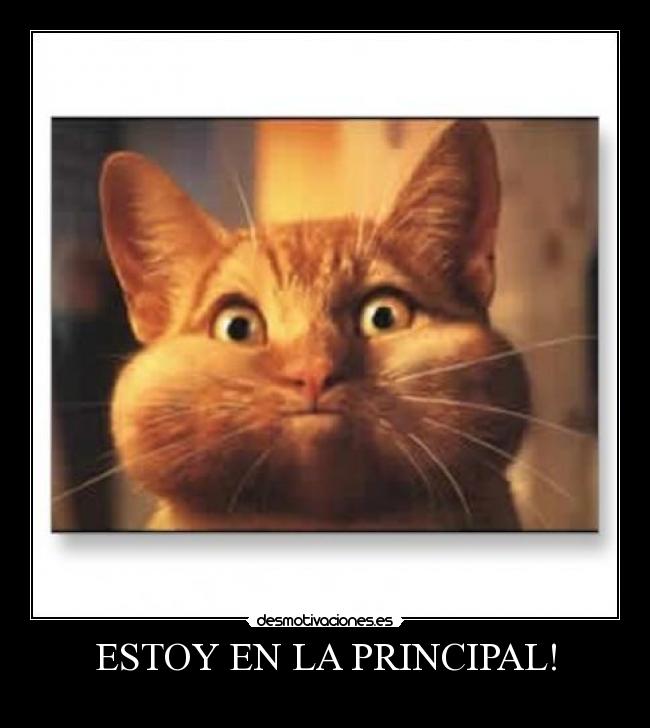 ESTOY EN LA PRINCIPAL! -