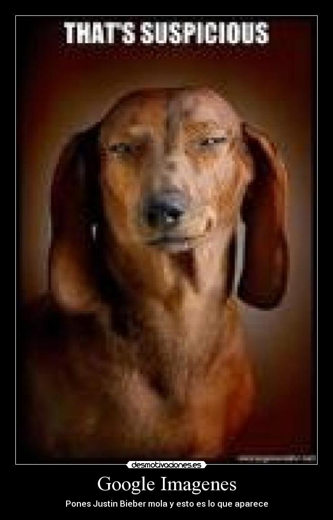 carteles google imagenes justin mola desmotivaciones