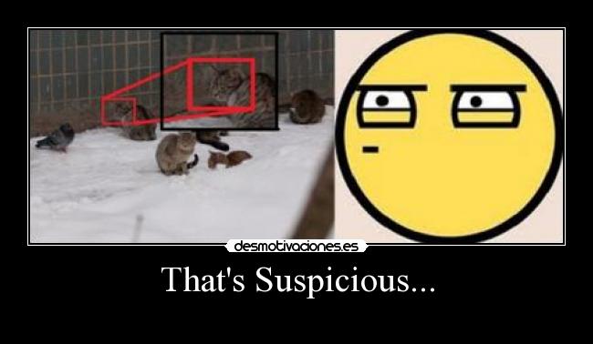 Thats Suspicious... - 