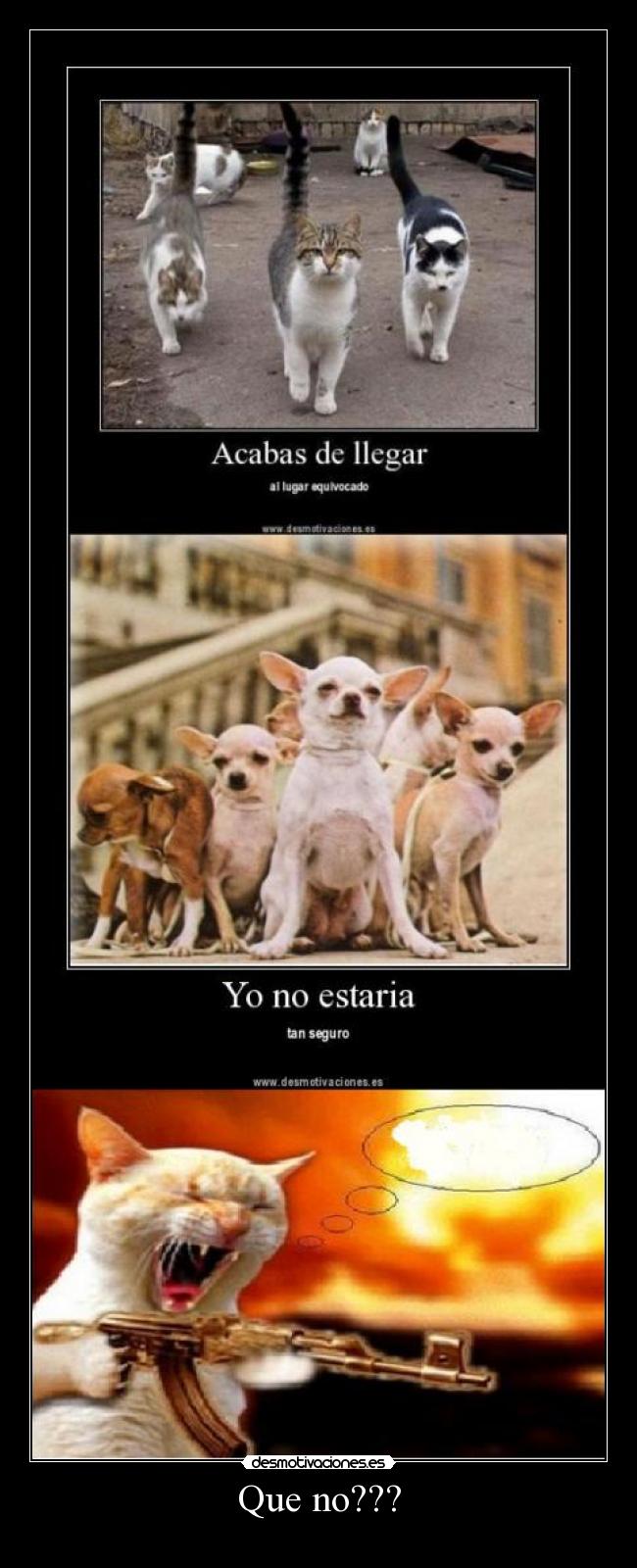 carteles  desmotivaciones