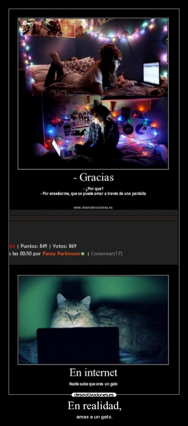 En realidad, - amas a un gato.