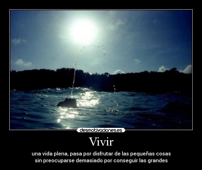 carteles vivir vida disfrutar cosas pequeno grande felicidad desmotivaciones