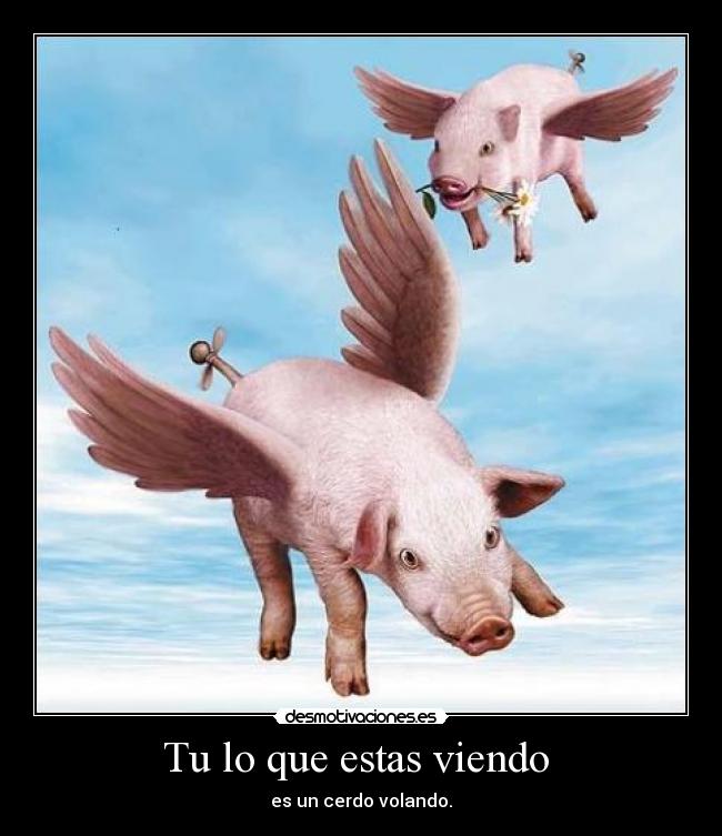 Tu lo que estas viendo - es un cerdo volando.