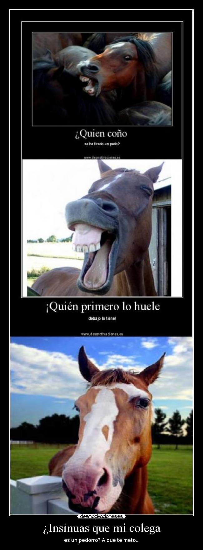 ¿Insinuas que mi colega - es un pedorro? A que te meto...