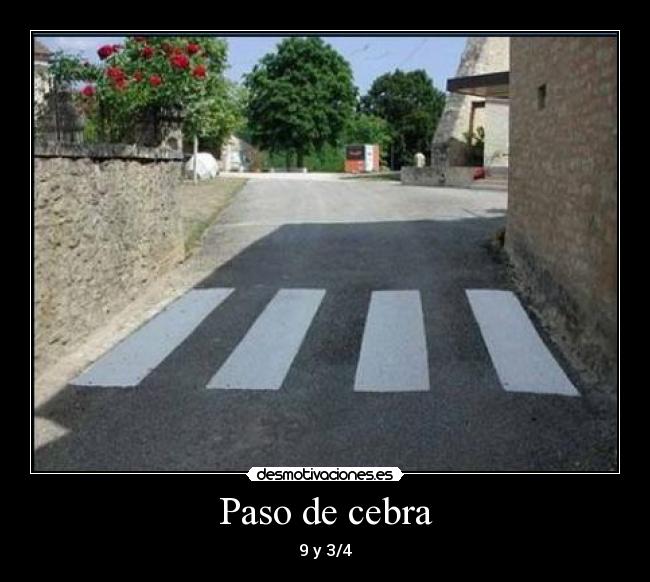 Paso de cebra - 