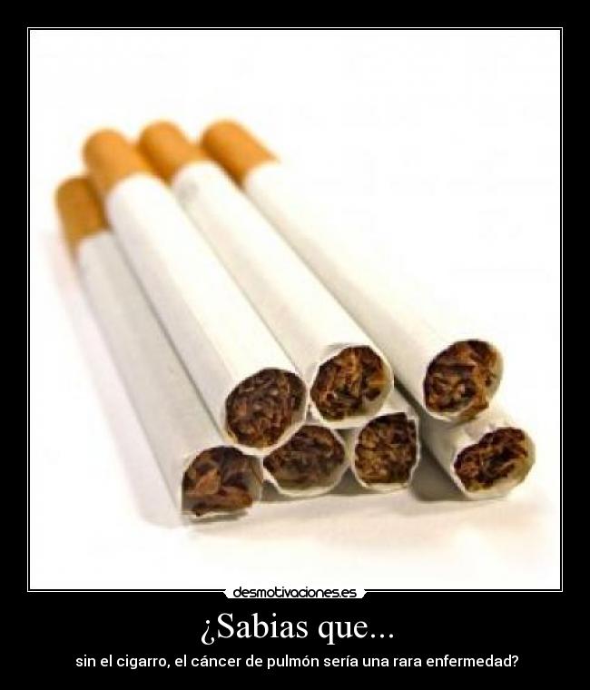 ¿Sabias que... - 