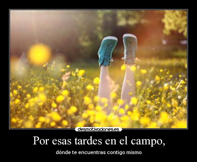 Por esas tardes en el campo, - dónde te encuentras contigo mismo