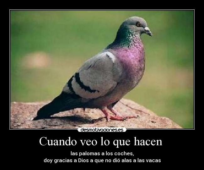 Cuando veo lo que hacen -