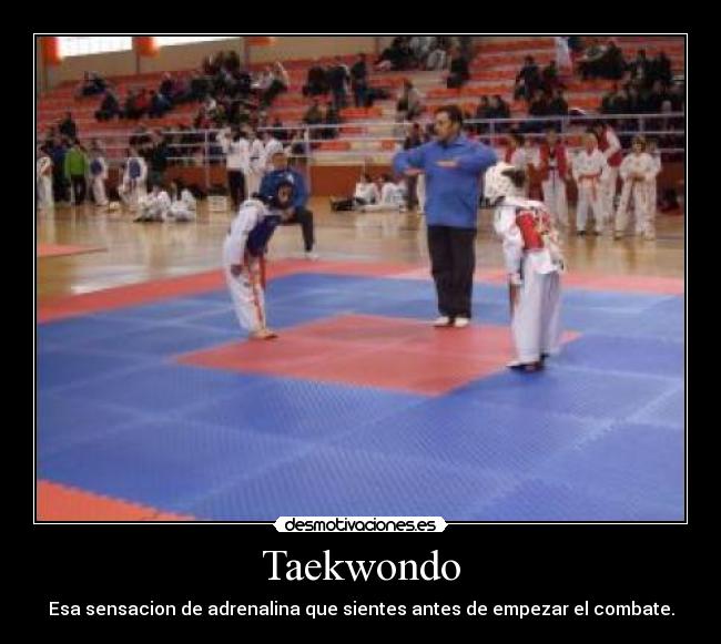 Taekwondo -