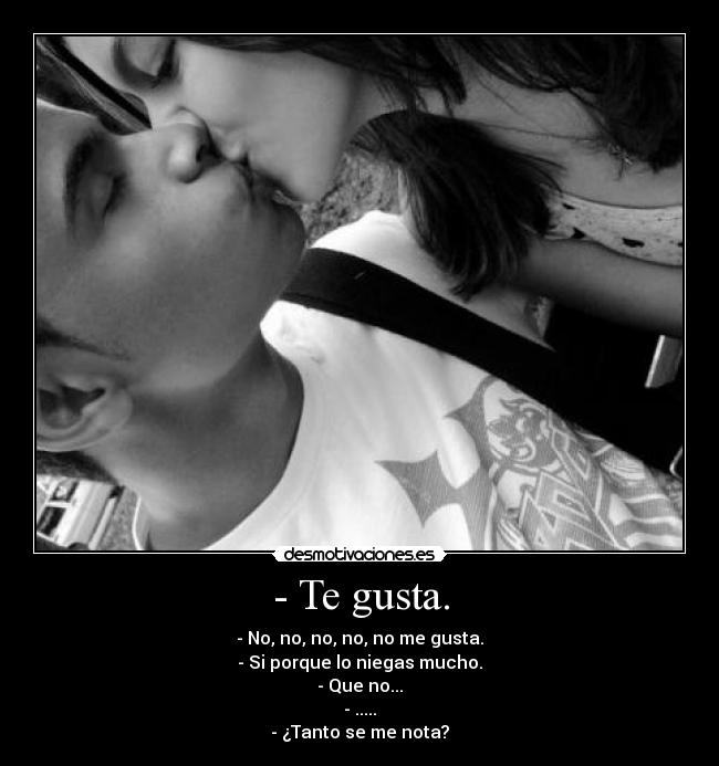 - Te gusta. -
