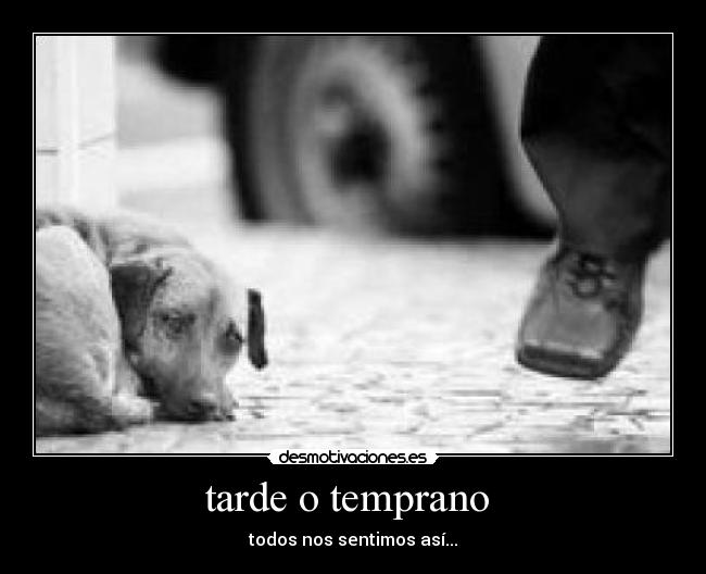 tarde o temprano  - 