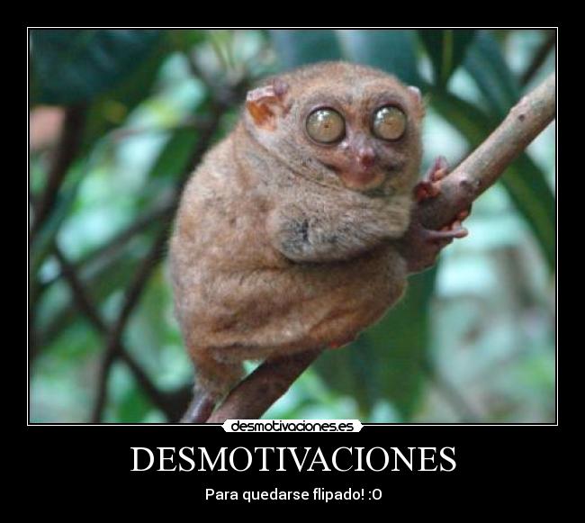 DESMOTIVACIONES - 