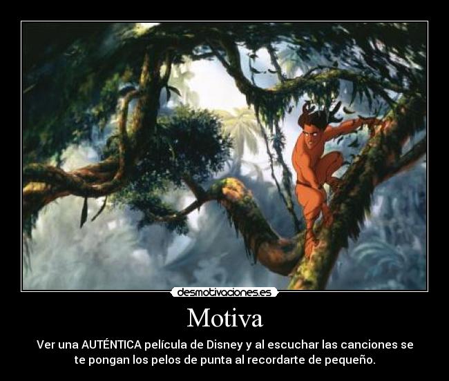 Motiva - 