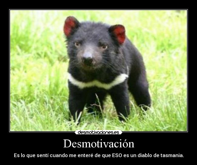 Desmotivación -