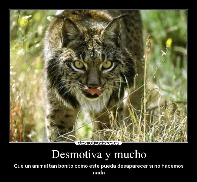 Desmotiva y mucho -