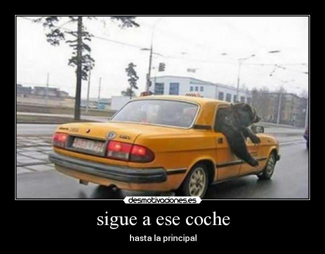 sigue a ese coche - 