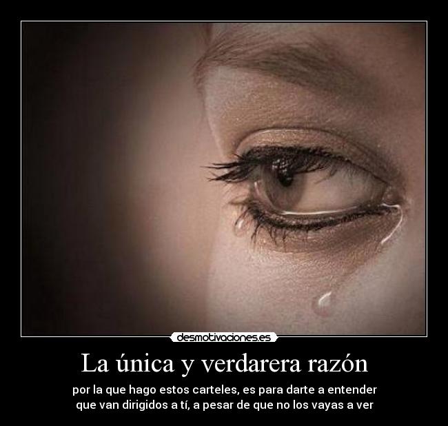 La única y verdarera razón - 