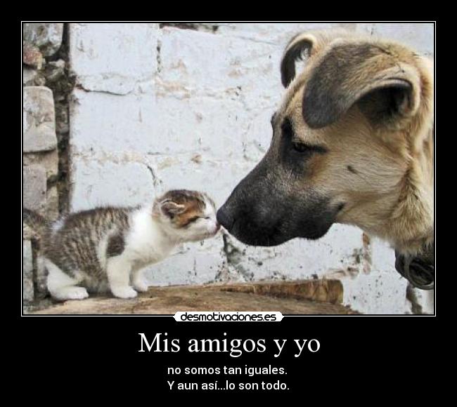 carteles amigos mis amigos desmotivaciones