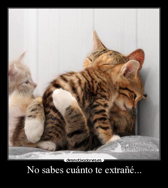 No sabes cuánto te extrañé... -