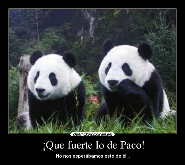 ¡Que fuerte lo de Paco! - No nos esperábamos esto de él...