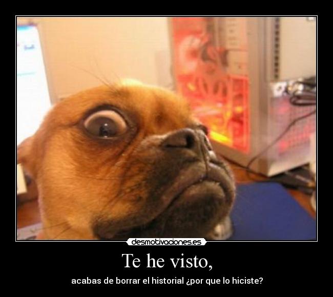 carteles walt_k desmotivaciones