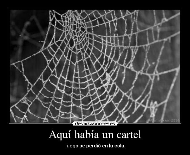 Aquí había un cartel - luego se perdió en la cola.