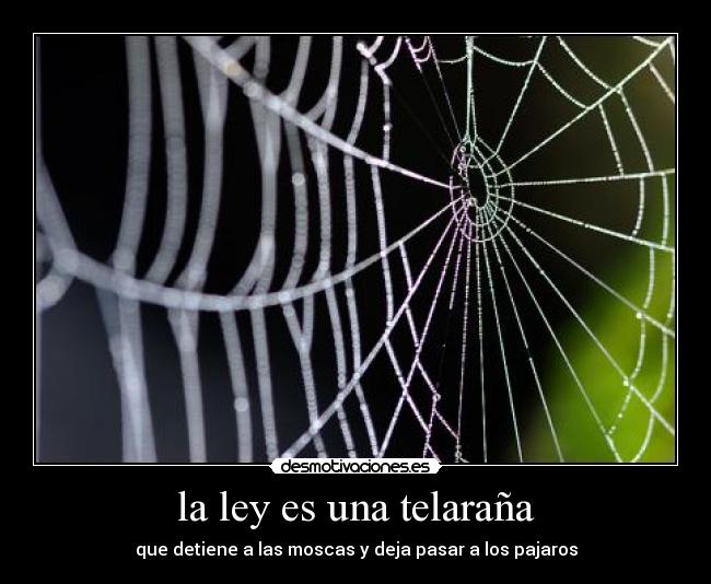 la ley es una telaraña - que detiene a las moscas y deja pasar a los pajaros