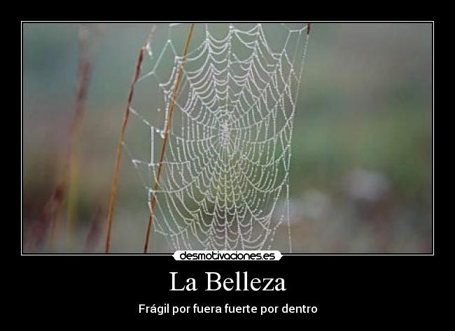 La Belleza -