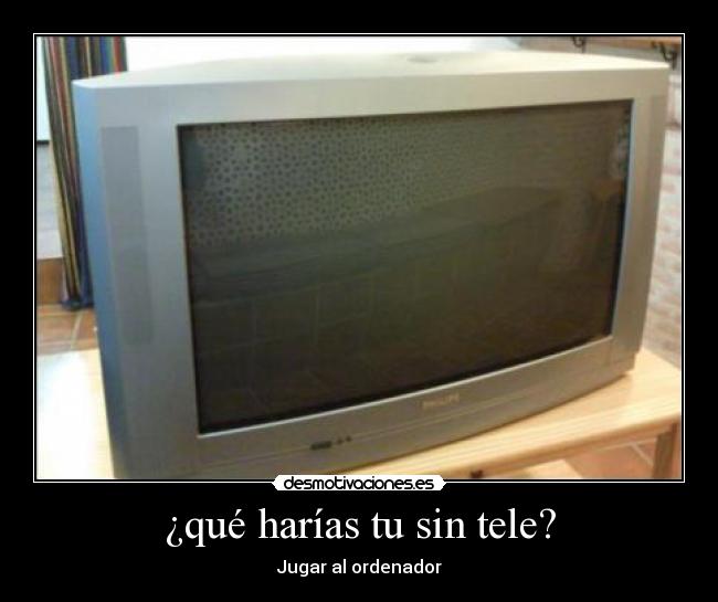 ¿qué harías tu sin tele? - Jugar al ordenador