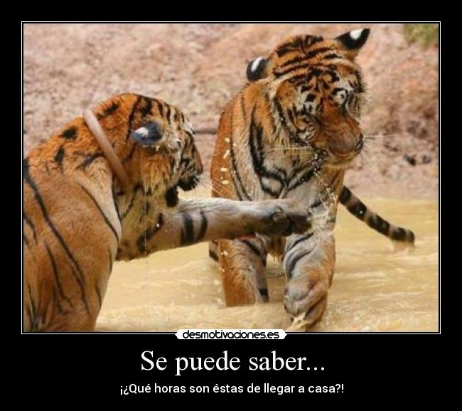 Se puede saber... - 