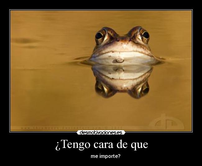 ¿Tengo cara de que -        me importe?