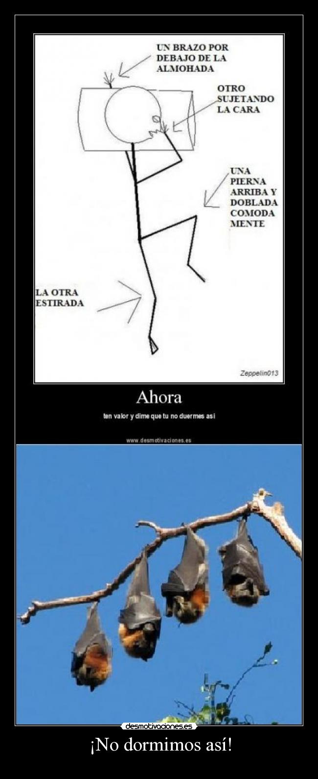 carteles desmotivaciones