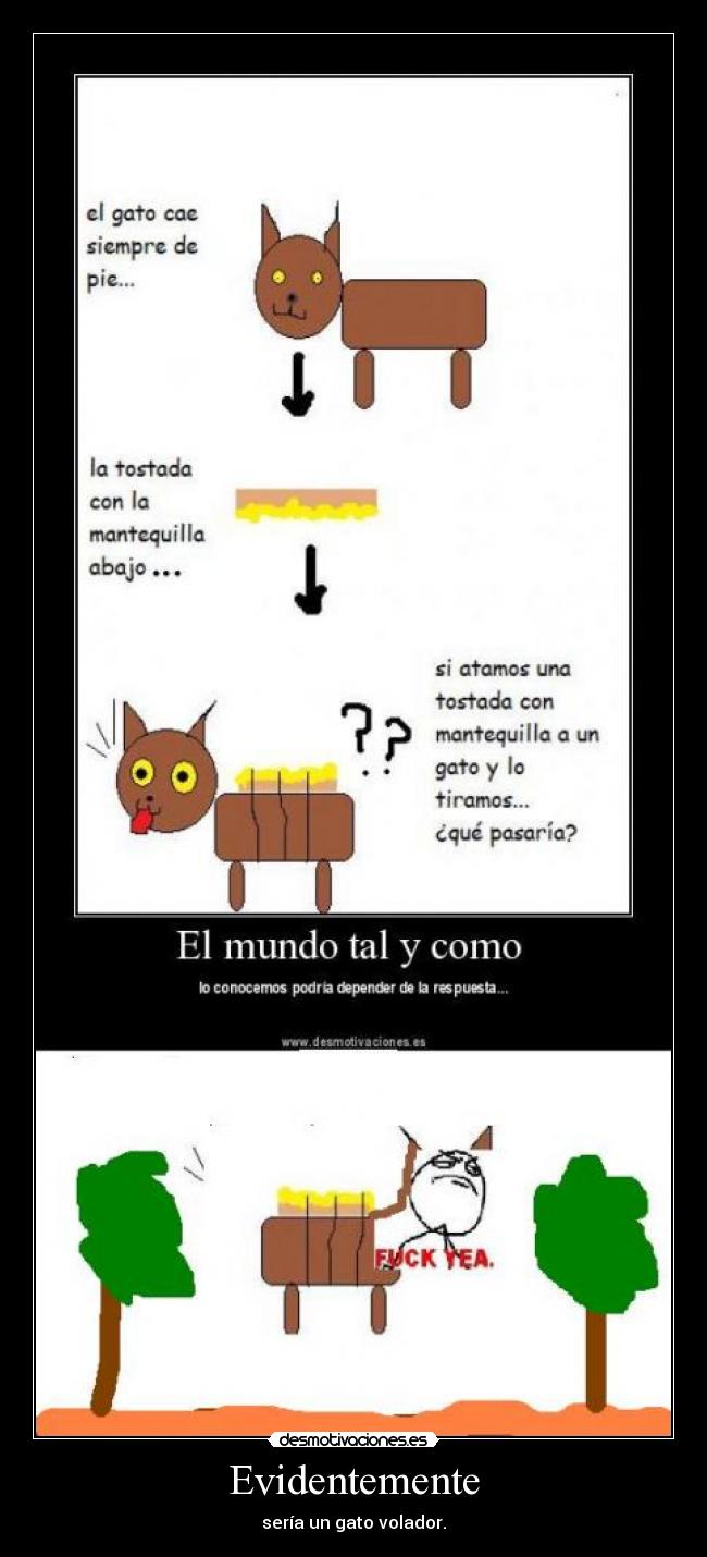 Evidentemente - sería un gato volador.