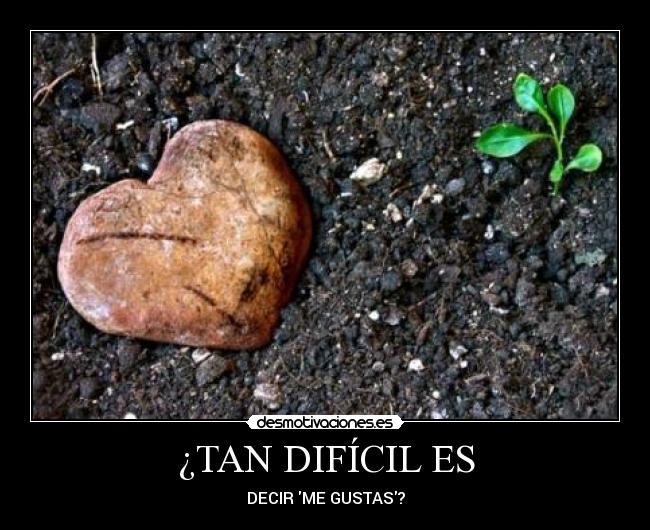¿TAN DIFÍCIL ES -