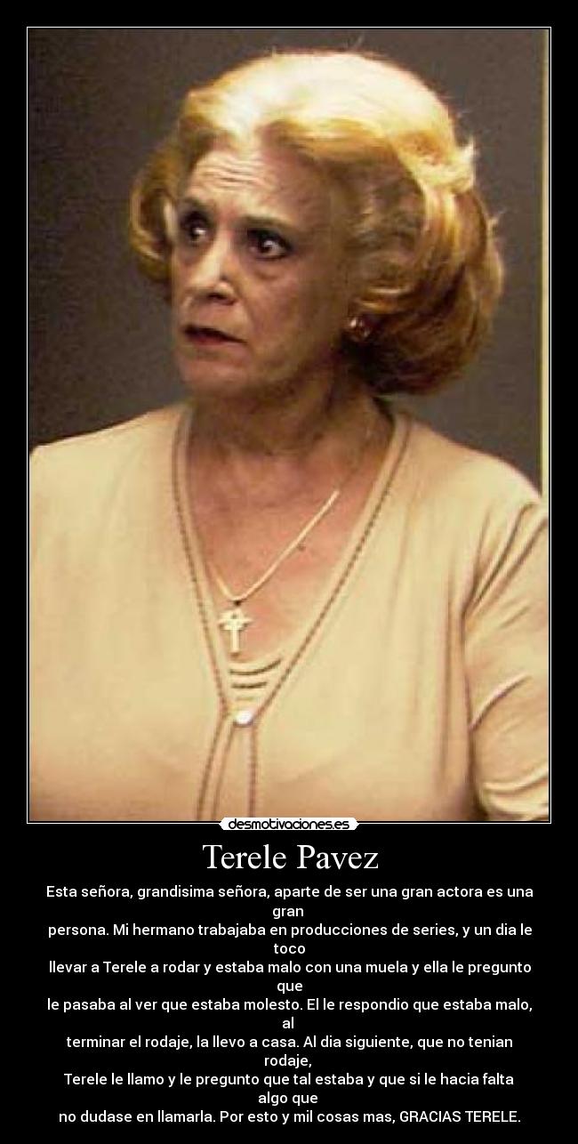 carteles terele pavez desmotivaciones