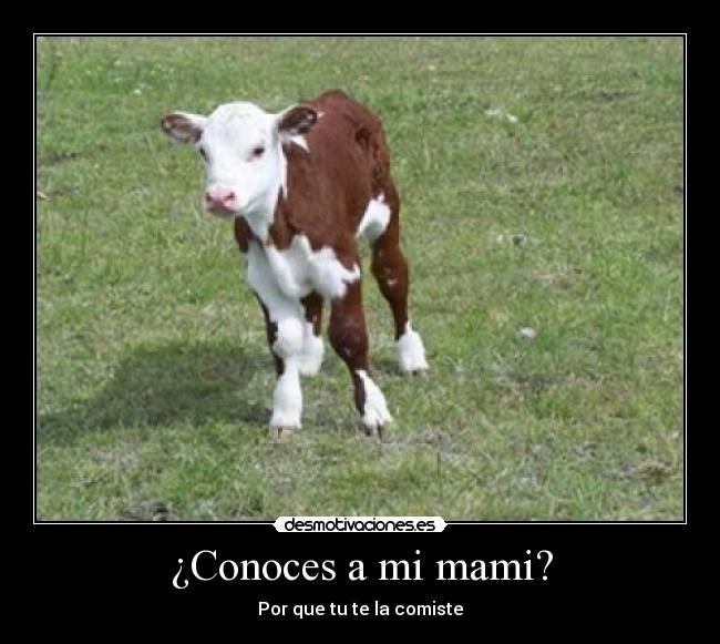 ¿Conoces a mi mami? -