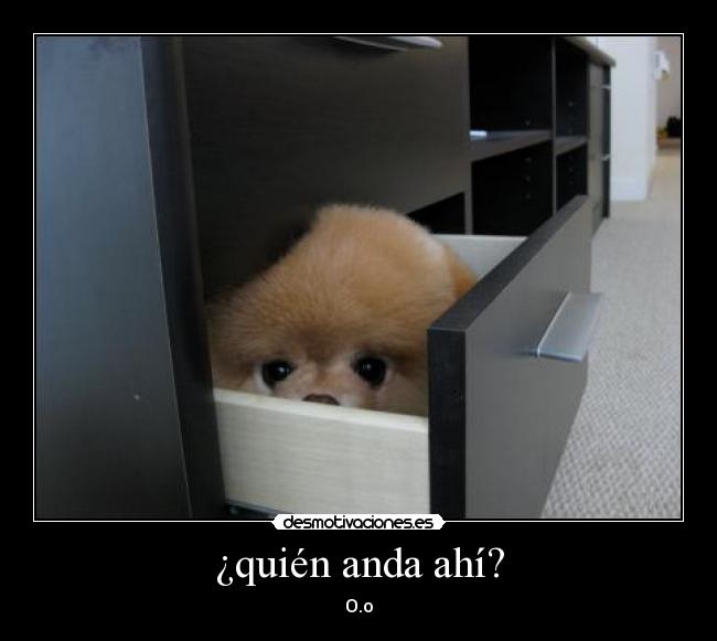 ¿quién anda ahí? - O.o
