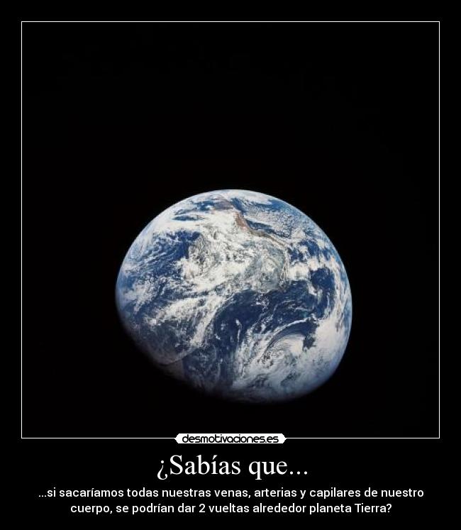 carteles aniitaa desmotivaciones