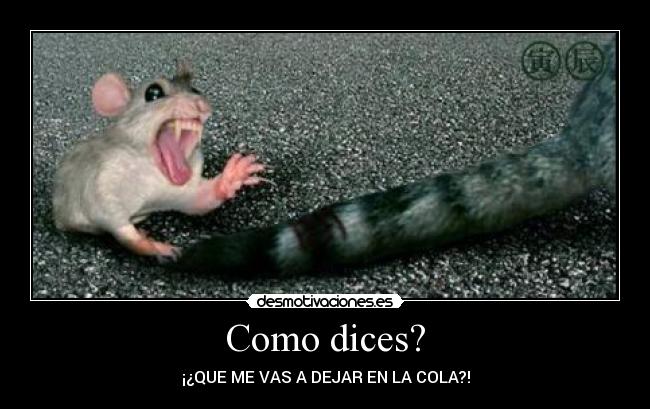 Como dices? - ¡¿QUE ME VAS A DEJAR EN LA COLA?!