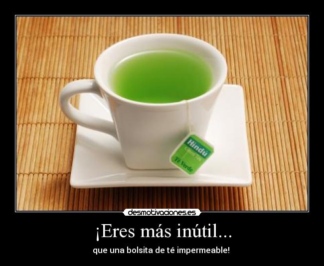 ¡Eres más inútil... - que una bolsita de té impermeable! 