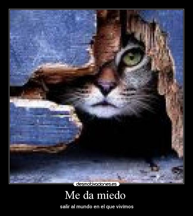 Me da miedo - salir al mundo en el que vivímos