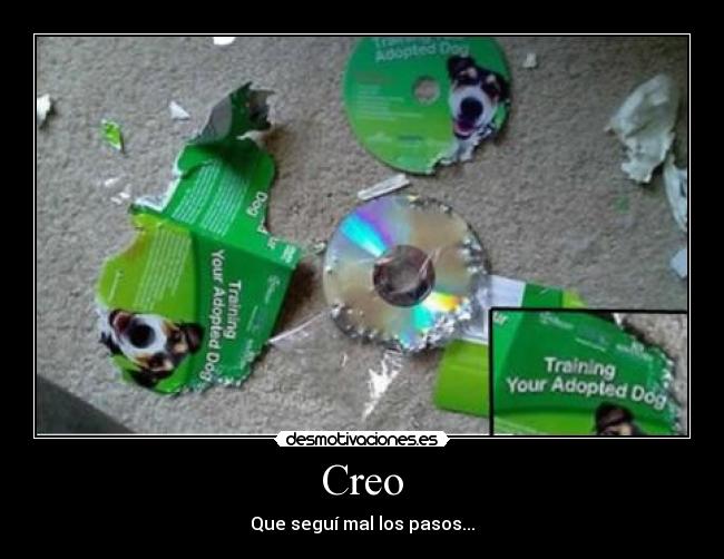 Creo - Que seguí mal los pasos...