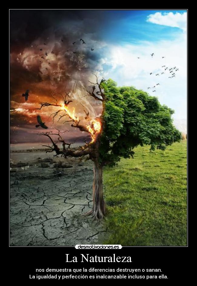 carteles naturaleza naturaleza demostrar destruir sanar igualdad perfeccion kiwaso desmotivaciones