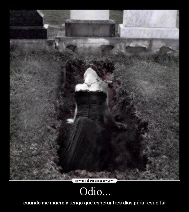Odio... -