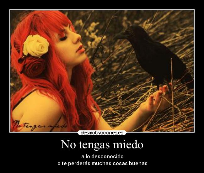 No tengas miedo - 