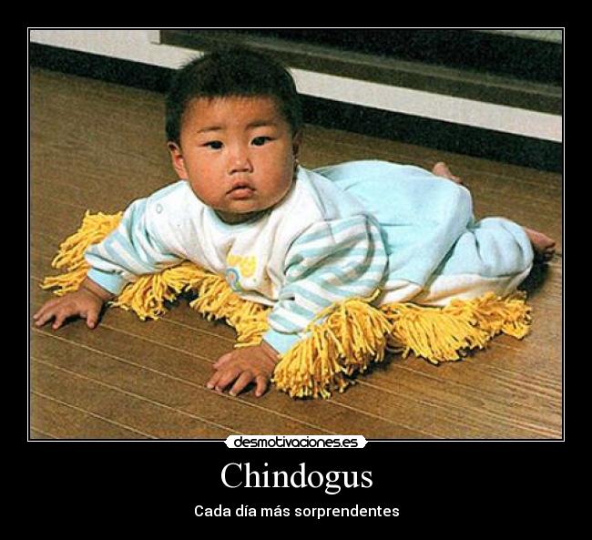 Chindogus -